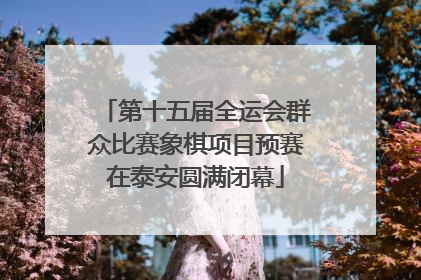 第十五届全运会群众比赛象棋项目预赛在泰安圆满闭幕