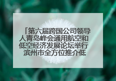 第六届跨国公司领导人青岛峰会通用航空和低空经济发展论坛举行 滨州市全方位推介低空经济发展优势