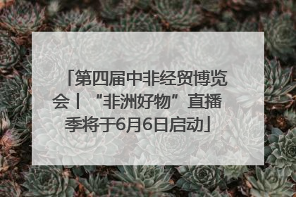 第四届中非经贸博览会丨“非洲好物”直播季将于6月6日启动