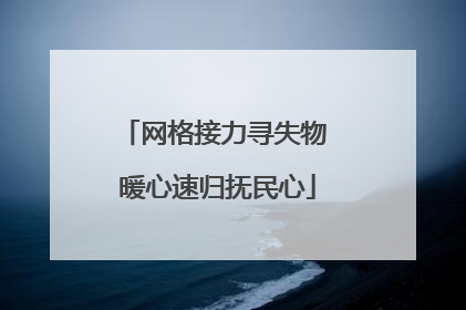 网格接力寻失物 暖心速归抚民心