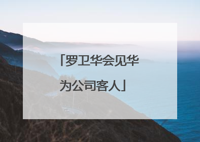 罗卫华会见华为公司客人