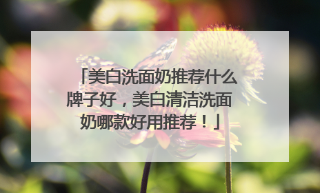 美白洗面奶推荐什么牌子好，美白清洁洗面奶哪款好用推荐！