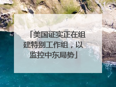 美国证实正在组建特别工作组，以监控中东局势