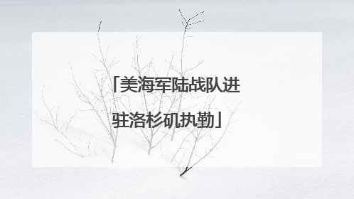 美海军陆战队进驻洛杉矶执勤