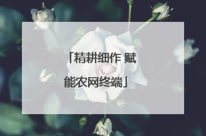 精耕细作 赋能农网终端