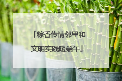 粽香传情邻里和 文明实践暖端午