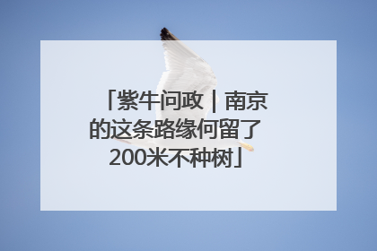 紫牛问政｜南京的这条路缘何留了200米不种树