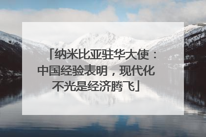 纳米比亚驻华大使：中国经验表明，现代化不光是经济腾飞