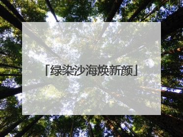 绿染沙海焕新颜