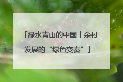 绿水青山的中国丨余村发展的“绿色变奏”