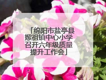 绵阳市盐亭县嫘祖镇中心小学召开六年级质量提升工作会