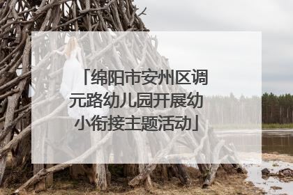 绵阳市安州区调元路幼儿园开展幼小衔接主题活动