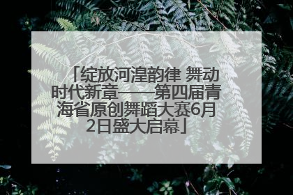绽放河湟韵律 舞动时代新章——第四届青海省原创舞蹈大赛6月2日盛大启幕