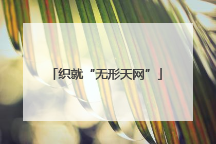 织就“无形天网”