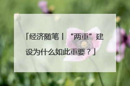 经济随笔丨“两重”建设为什么如此重要？