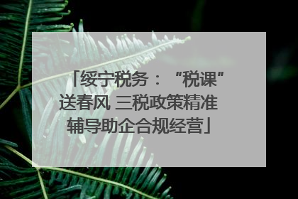 绥宁税务：“税课”送春风 三税政策精准辅导助企合规经营