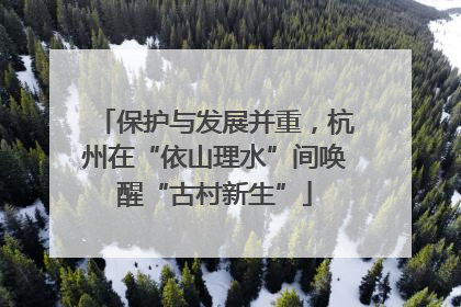 保护与发展并重，杭州在“依山理水”间唤醒“古村新生”