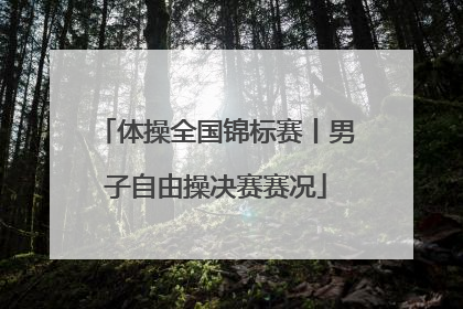 体操全国锦标赛丨男子自由操决赛赛况