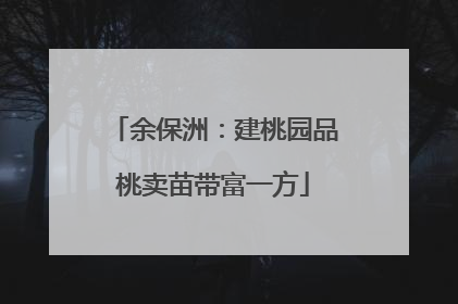 余保洲：建桃园品桃卖苗带富一方