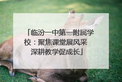 临汾一中第一附属学校：聚焦课堂展风采 深耕教学促成长