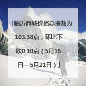 临沂商城价格总指数为103.38点，环比下跌0.10点（5月15日—5月21日）