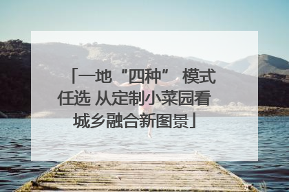一地“四种” 模式任选 从定制小菜园看城乡融合新图景