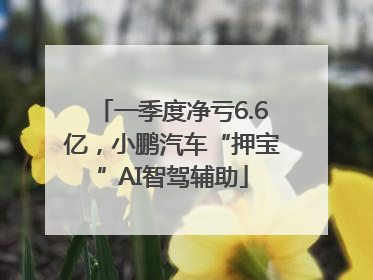 一季度净亏6.6亿，小鹏汽车“押宝”AI智驾辅助