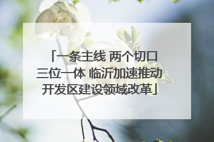一条主线 两个切口 三位一体 临沂加速推动开发区建设领域改革