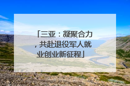 三亚：凝聚合力，共赴退役军人就业创业新征程