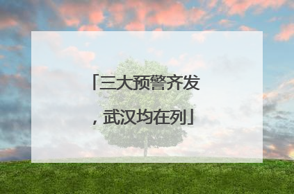 三大预警齐发，武汉均在列