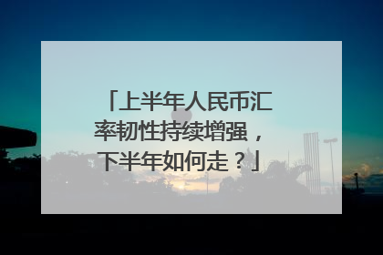 上半年人民币汇率韧性持续增强，下半年如何走？