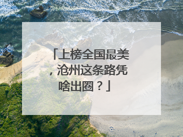 上榜全国最美，沧州这条路凭啥出圈？