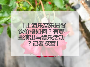 上海乐高乐园餐饮价格如何？有哪些演出与娱乐活动？记者探营