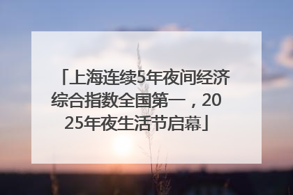 上海连续5年夜间经济综合指数全国第一，2025年夜生活节启幕