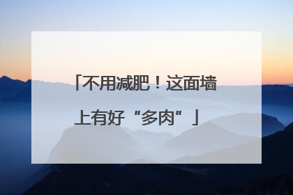 不用减肥！这面墙上有好“多肉”