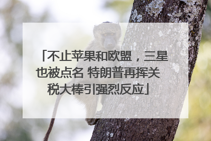 不止苹果和欧盟，三星也被点名 特朗普再挥关税大棒引强烈反应