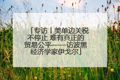 专访丨美单边关税不停止 难有真正的贸易公平——访波黑经济学家伊戈尔