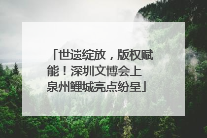 世遗绽放，版权赋能！深圳文博会上 泉州鲤城亮点纷呈