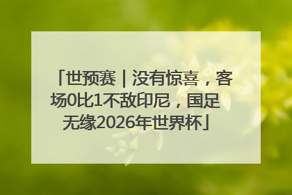 世预赛｜没有惊喜，客场0比1不敌印尼，国足无缘2026年世界杯