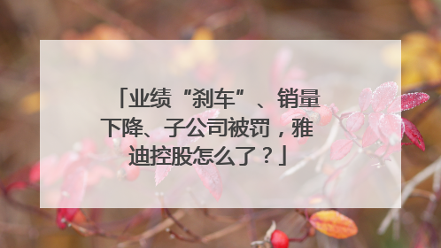 业绩“刹车”、销量下降、子公司被罚，雅迪控股怎么了？