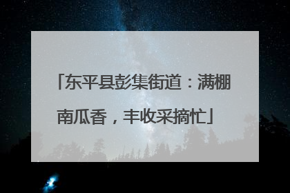 东平县彭集街道：满棚南瓜香，丰收采摘忙