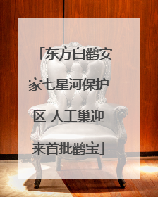 东方白鹳安家七星河保护区 人工巢迎来首批鹳宝