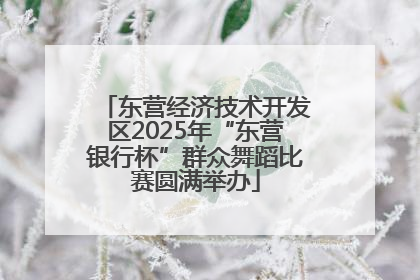 东营经济技术开发区2025年“东营银行杯”群众舞蹈比赛圆满举办