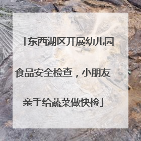 东西湖区开展幼儿园食品安全检查，小朋友亲手给蔬菜做快检