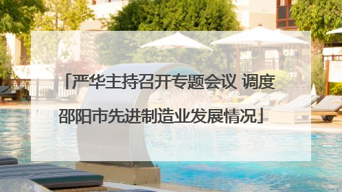 严华主持召开专题会议 调度邵阳市先进制造业发展情况