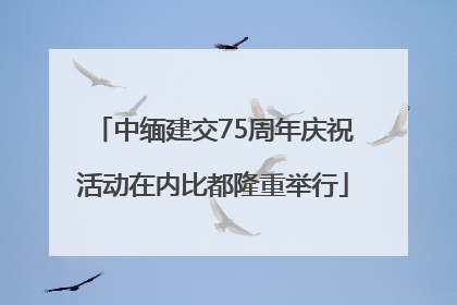 中缅建交75周年庆祝活动在内比都隆重举行