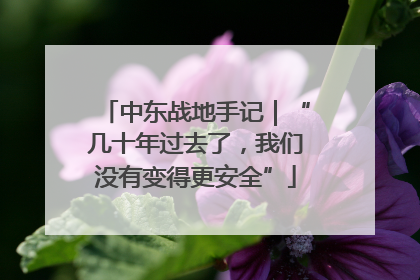 中东战地手记｜“几十年过去了，我们没有变得更安全”
