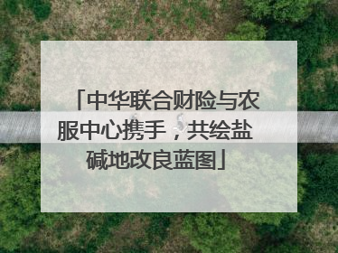 中华联合财险与农服中心携手，共绘盐碱地改良蓝图