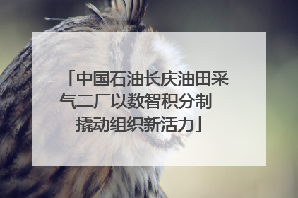 中国石油长庆油田采气二厂以数智积分制 撬动组织新活力