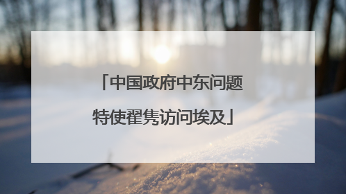 中国政府中东问题特使翟隽访问埃及
